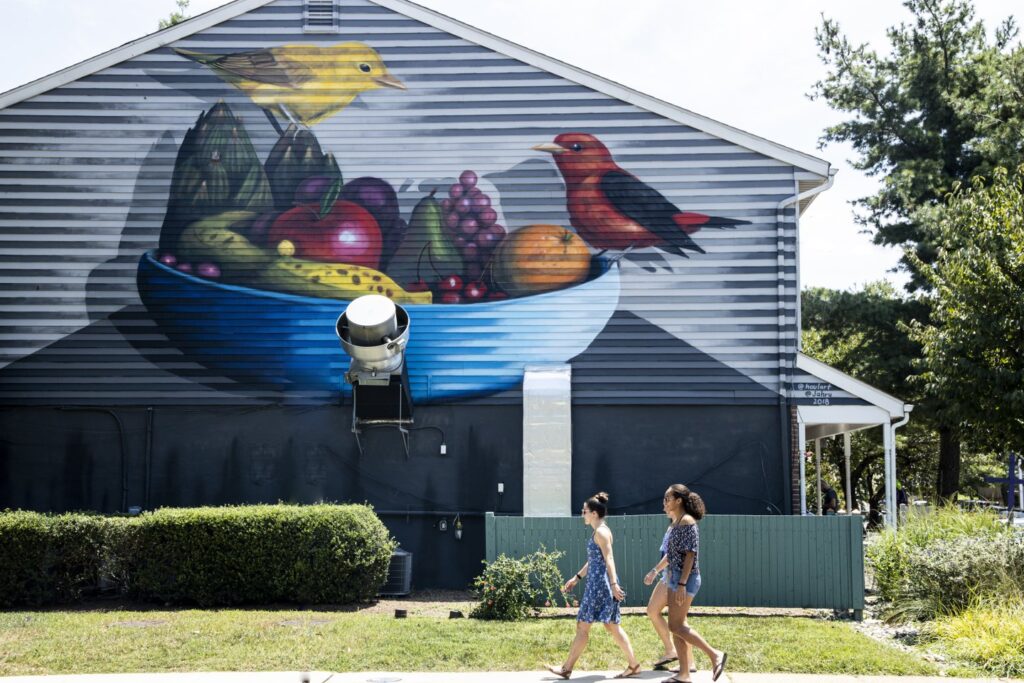 Key Dates and Schedule for Paint Annapolis 2025
